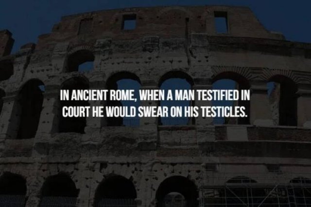Scary Facts (32 pics)