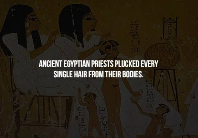 Scary Facts (32 pics)