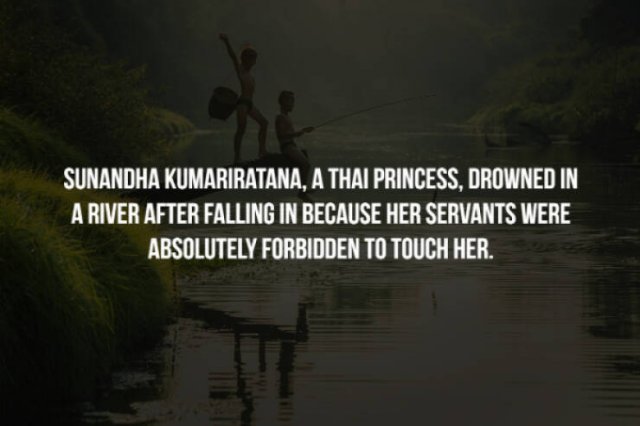 Scary Facts (32 pics)