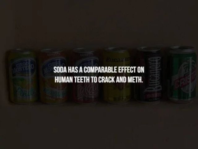 Scary Facts (32 pics)