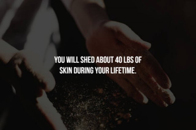 Scary Facts (32 pics)