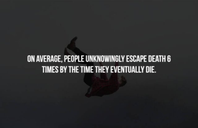 Scary Facts (32 pics)
