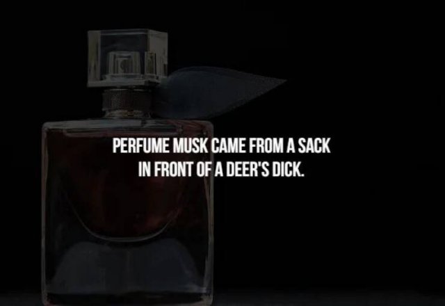 Scary Facts (32 pics)