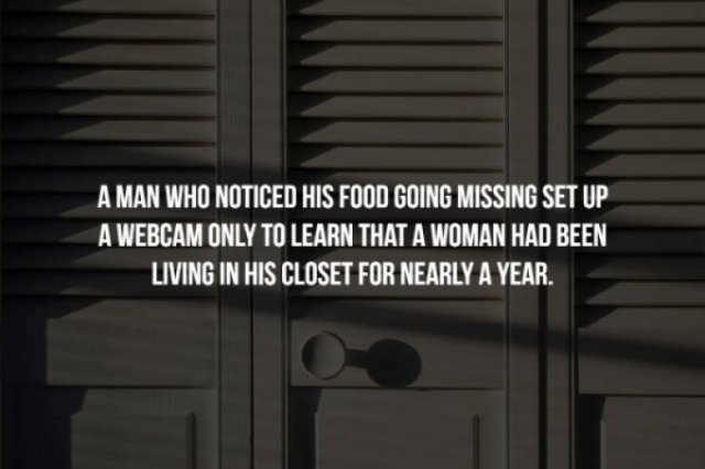 Scary Facts (32 pics)