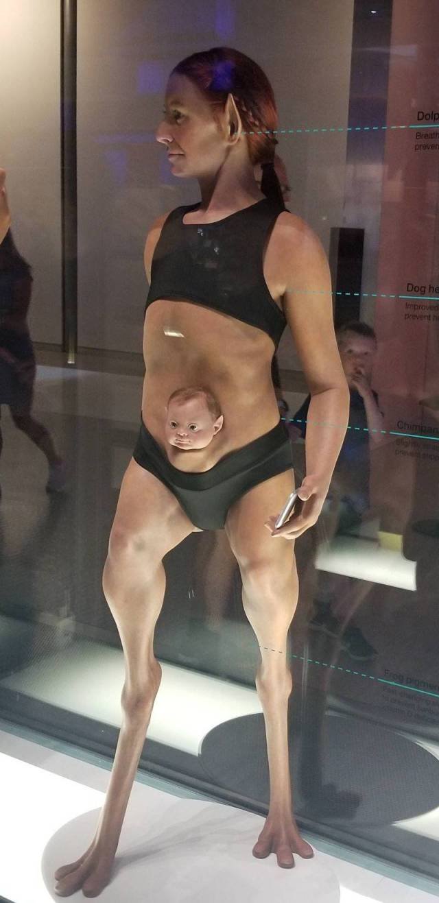 What Is Going On Here? (58 pics)