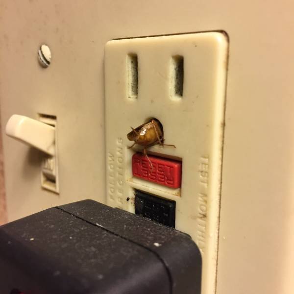 Finds In Hotels (22 pics)
