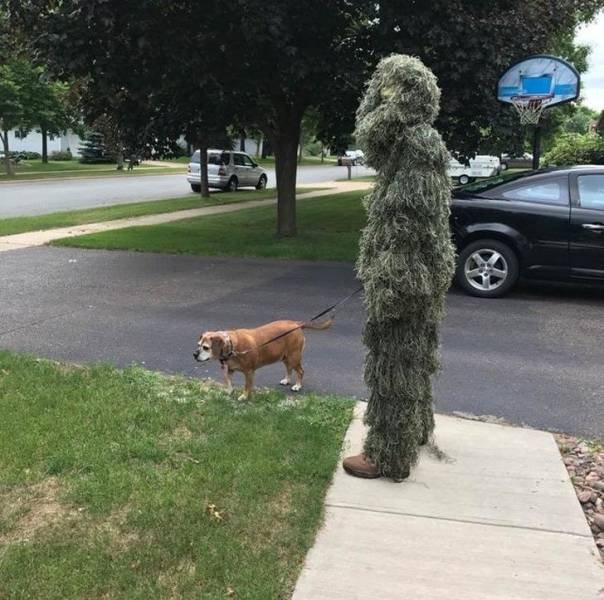 What Is Going On Here? (58 pics)