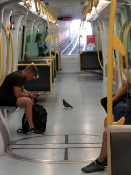 Strange People In The Subway (38 pics)