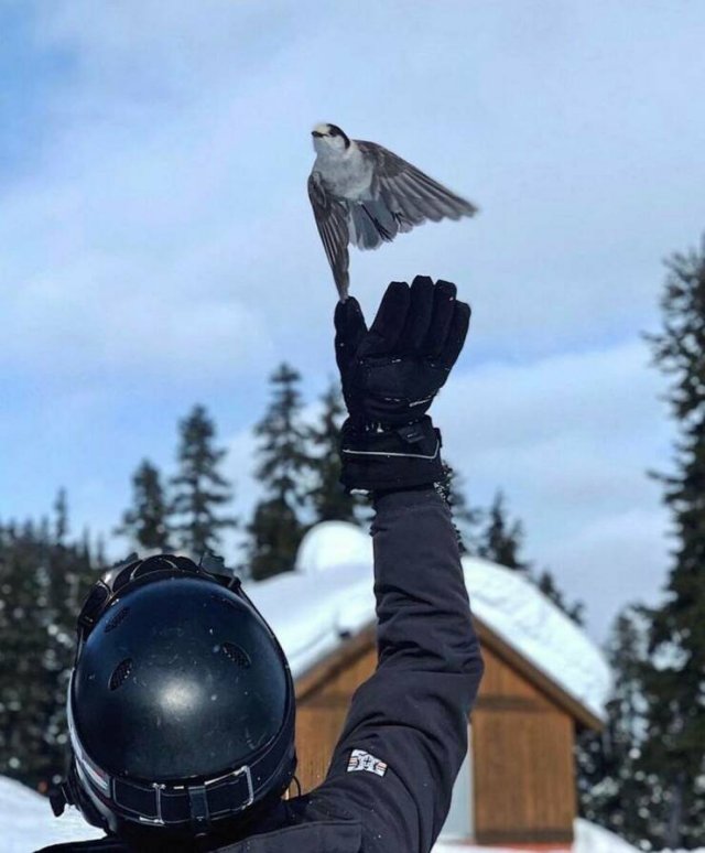 Right Moment (47 pics)