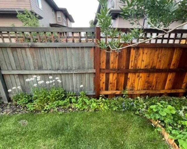 Before And After Cleaning (25 pics)