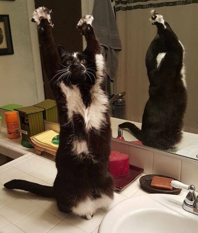 Right Moment (47 pics)