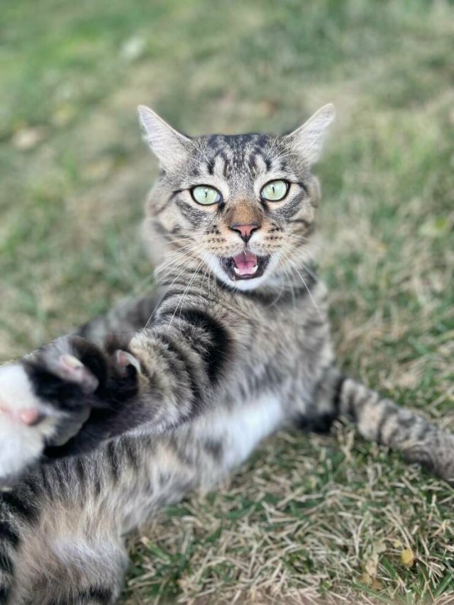 Right Moment (47 pics)