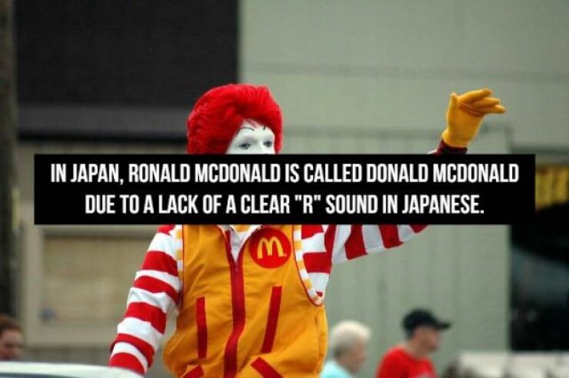 Absurdly And Funny Facts (18 pics)