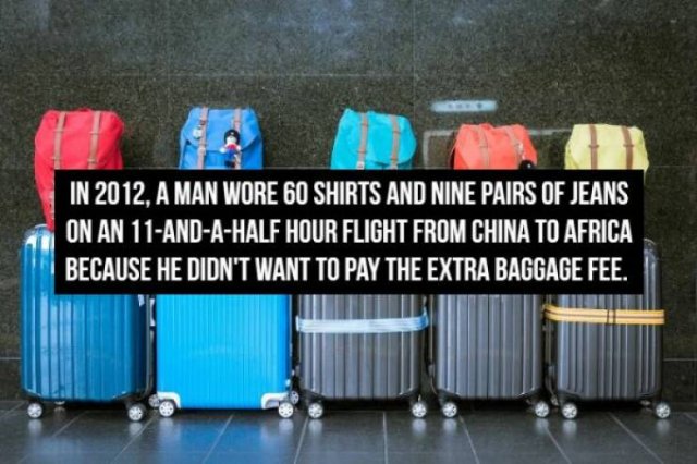 Absurdly And Funny Facts (18 pics)