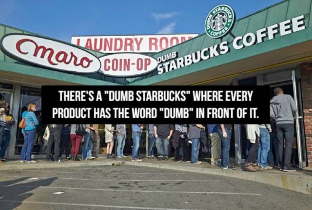 Absurdly And Funny Facts (18 pics)