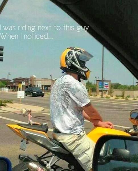 Weird Finds And Situations (40 pics)