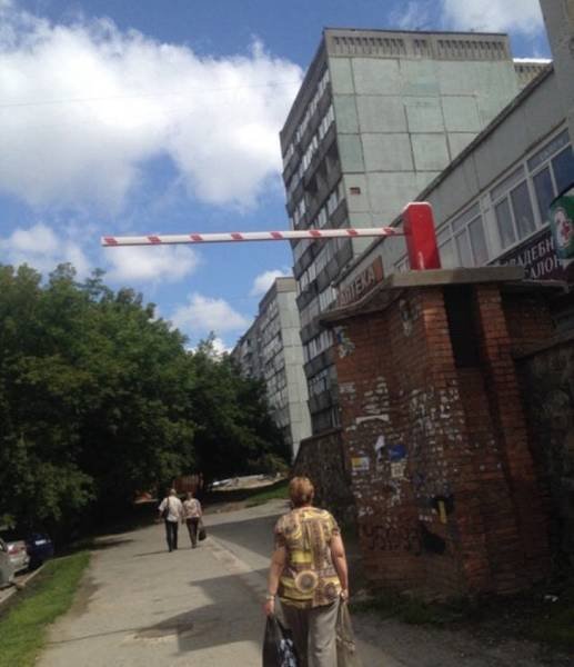 Weird Finds And Situations (40 pics)