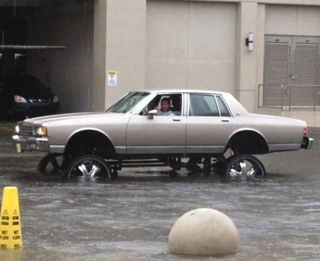 Weird Finds And Situations (40 pics)