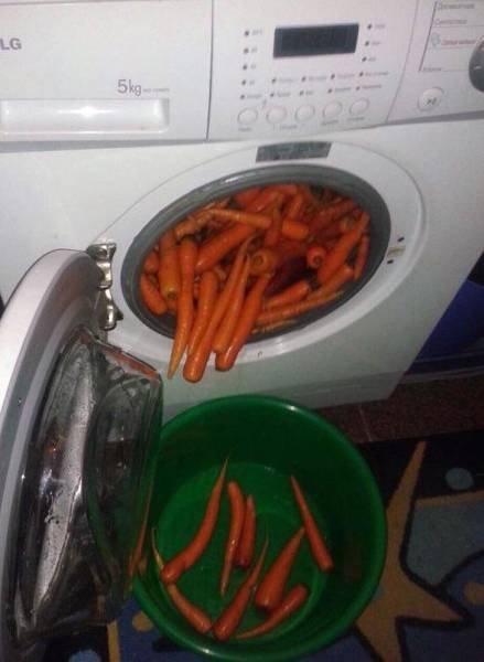 Weird Finds And Situations (40 pics)