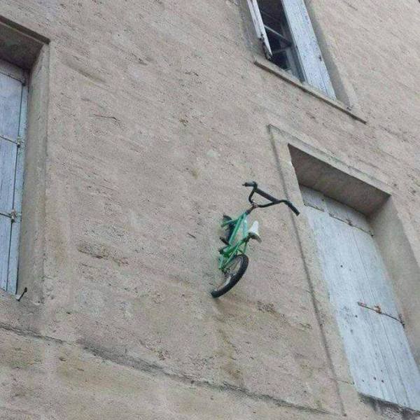 Weird Finds And Situations (40 pics)
