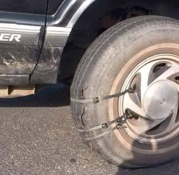 Weird Finds And Situations (40 pics)