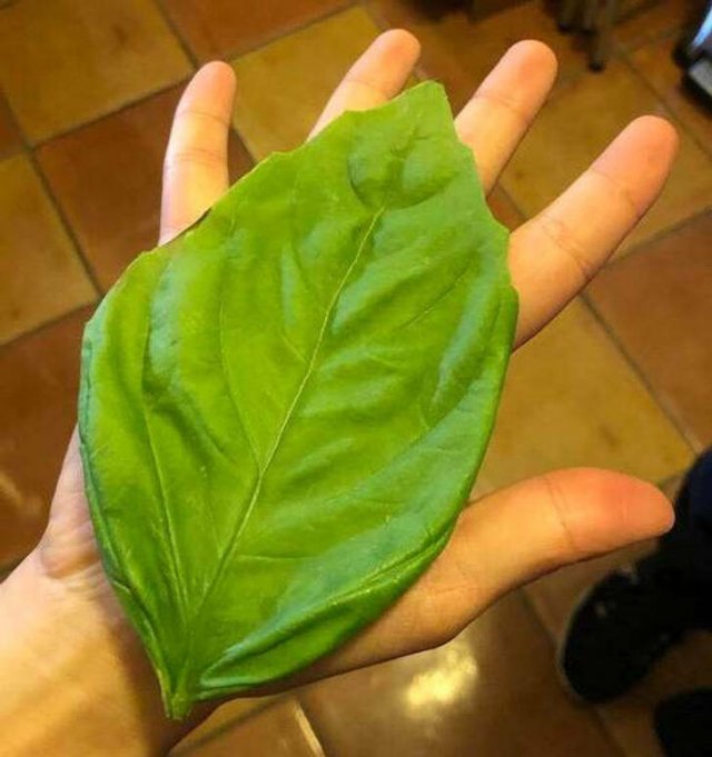 Amazing Finds (41 pics)