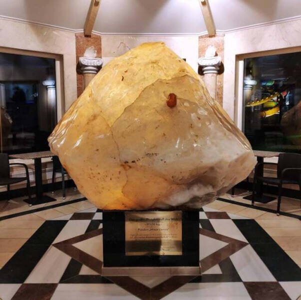 Amazing Finds (41 pics)