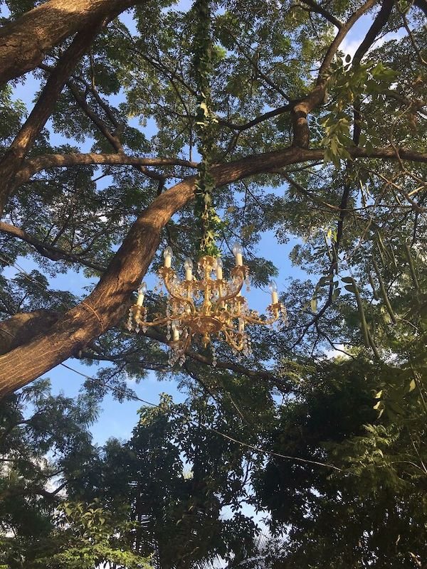 Unusual Finds In The Forest (30 pics)