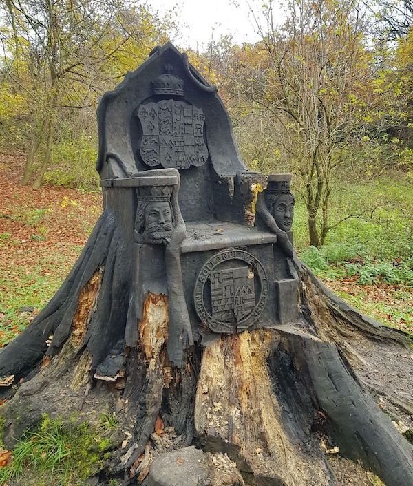 Unusual Finds In The Forest (30 pics)