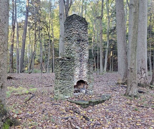 Unusual Finds In The Forest (30 pics)