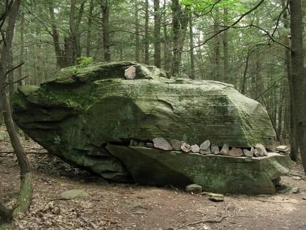 Unusual Finds In The Forest (30 pics)
