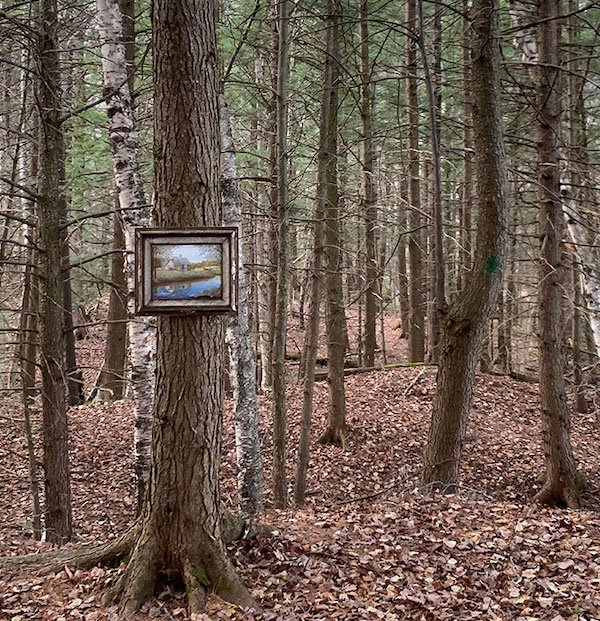 Unusual Finds In The Forest (30 pics)