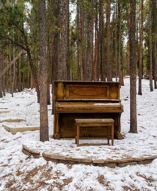 Unusual Finds In The Forest (30 pics)