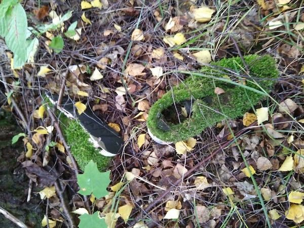 Unusual Finds In The Forest (30 pics)