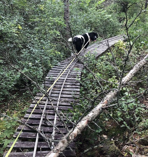 Unusual Finds In The Forest (30 pics)