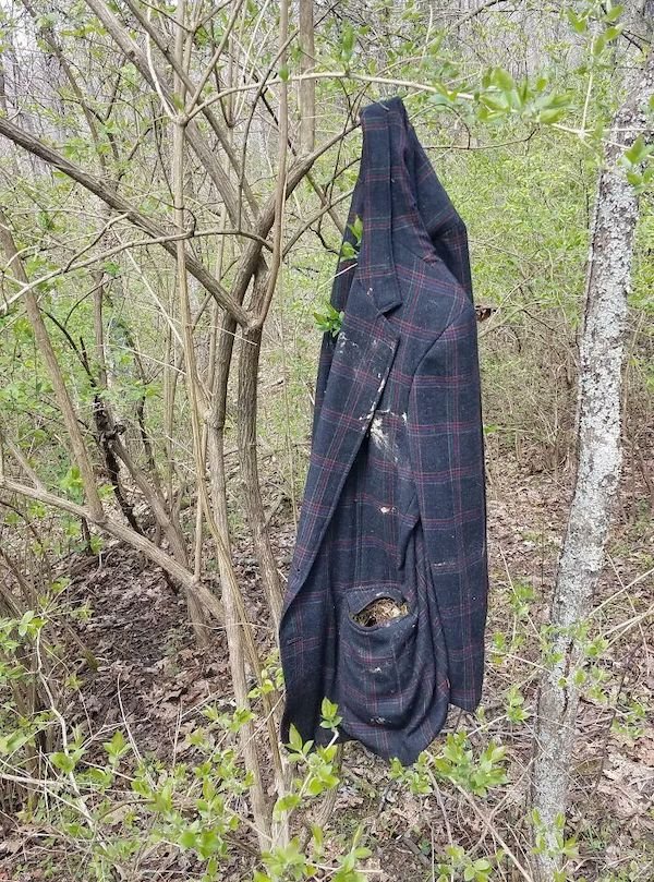 Unusual Finds In The Forest (30 pics)