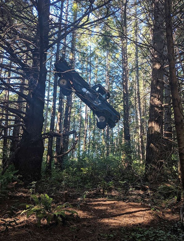 Unusual Finds In The Forest (30 pics)
