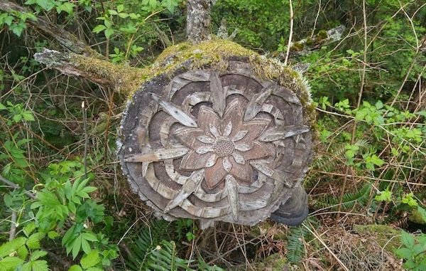 Unusual Finds In The Forest (30 pics)
