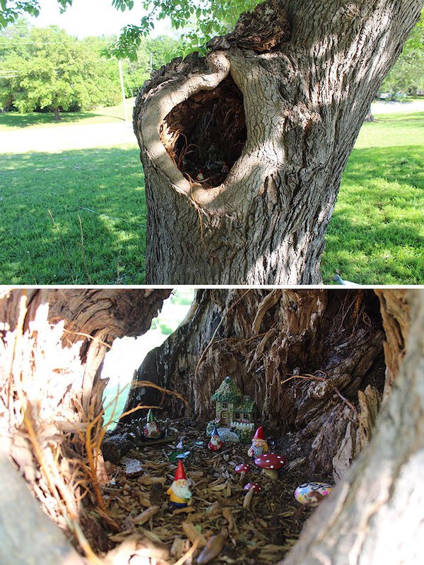 Unusual Finds In The Forest (30 pics)