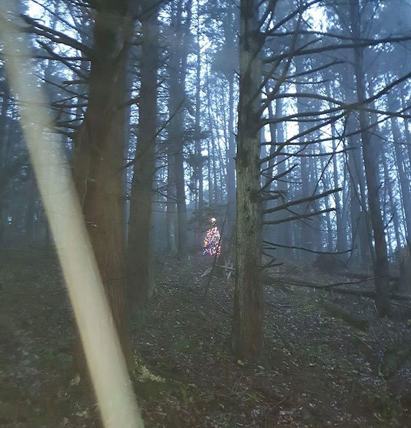Unusual Finds In The Forest (30 pics)