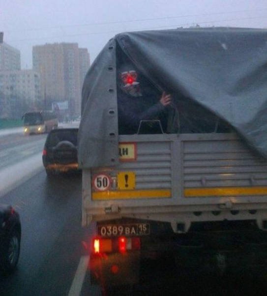 Weird Photos From Russia (40 pics)