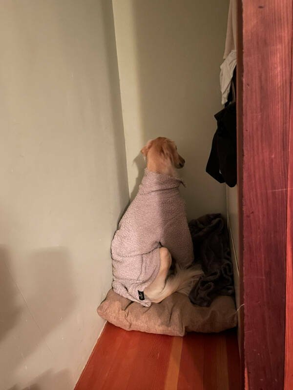 Bad Days Happen (55 pics)