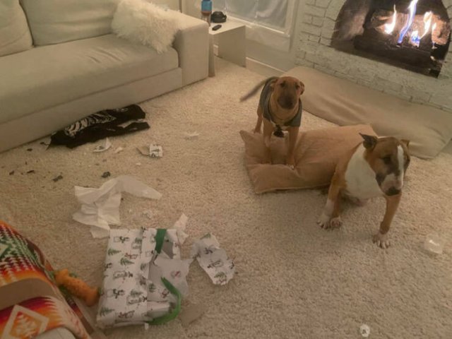 Bad Days Happen (55 pics)