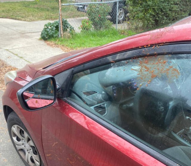 Bad Days Happen (55 pics)