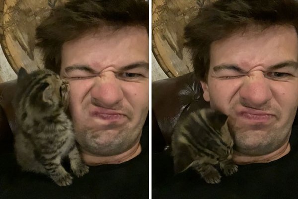 Cute Adopted Pets (30 pics)