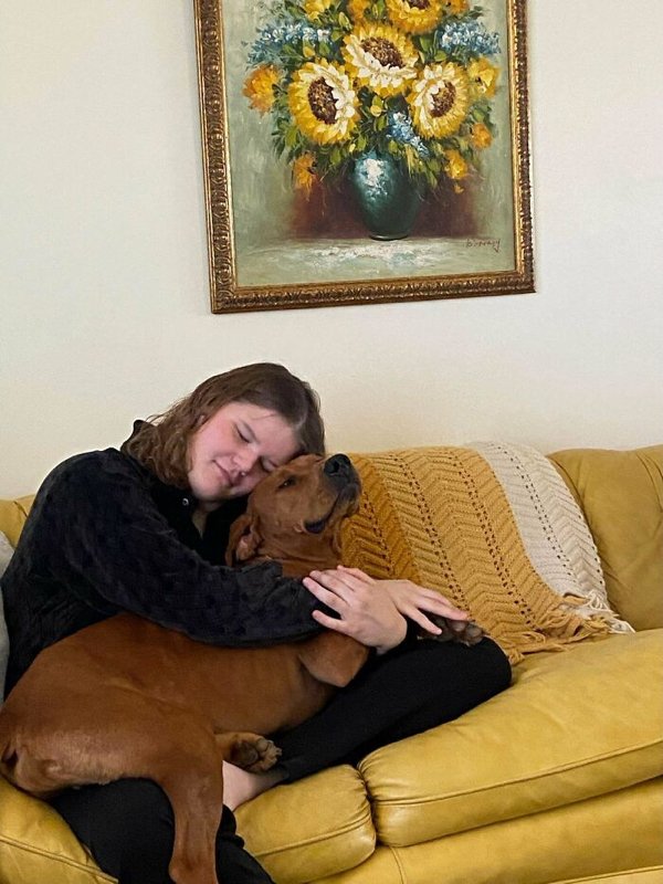 Cute Adopted Pets (30 pics)