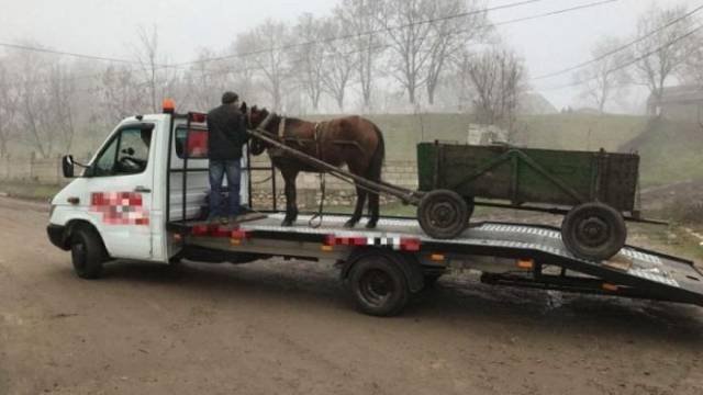 Strange Photos From Russia (41 pics)