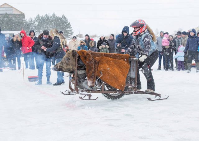 Strange Photos From Russia (41 pics)