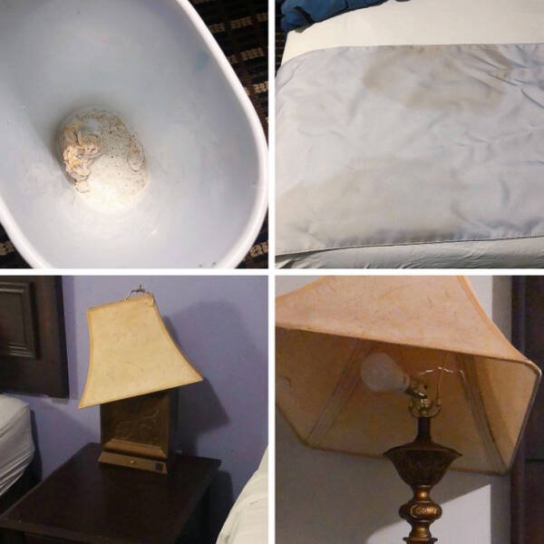 Odd Finds In Hotels (19 pics)