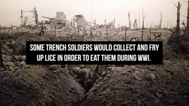 Historical Facts (13 pics)